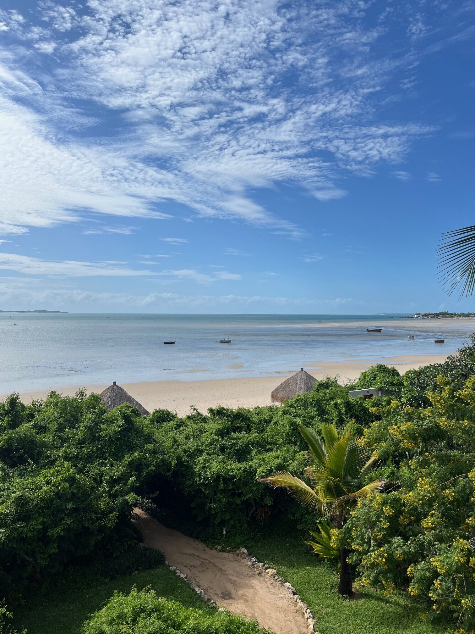 Voyage Afrique du Sud et Mozambique 2025