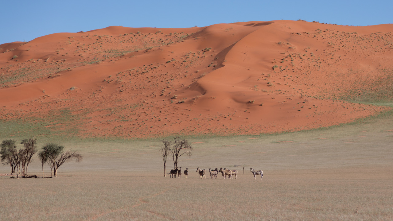 Voyage en Namibie 2025